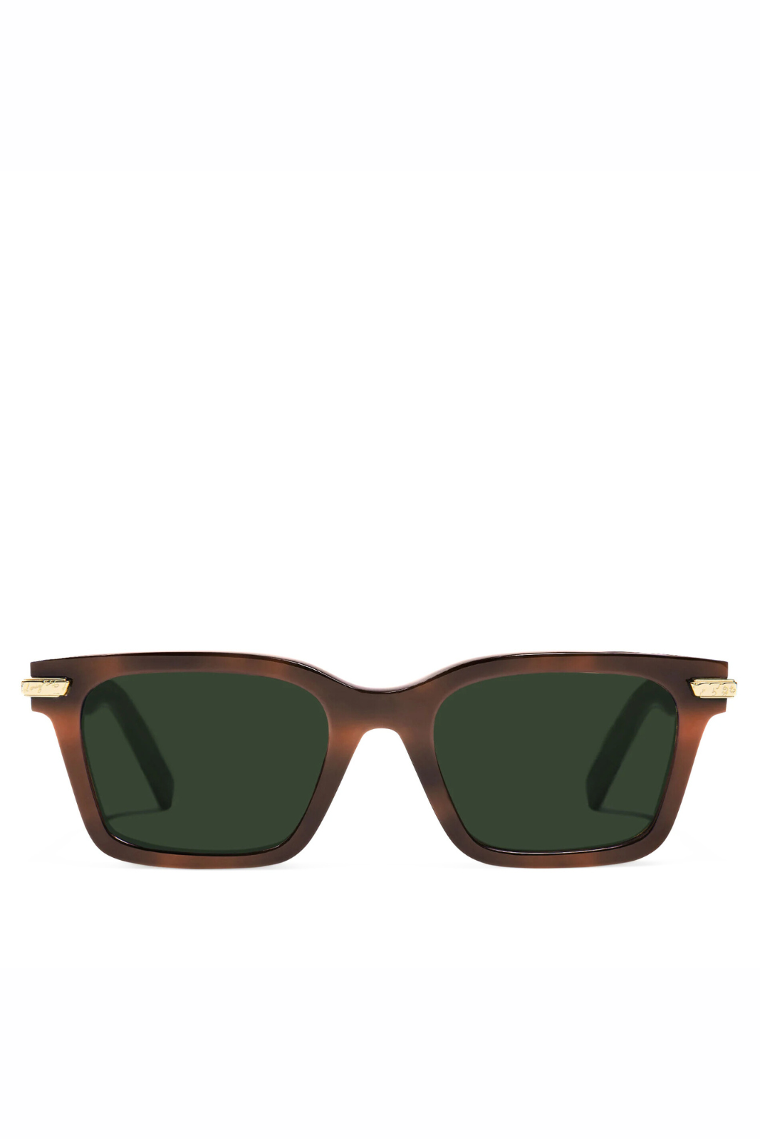 Berluti Radiant Acetate Man Brown Sunglasses