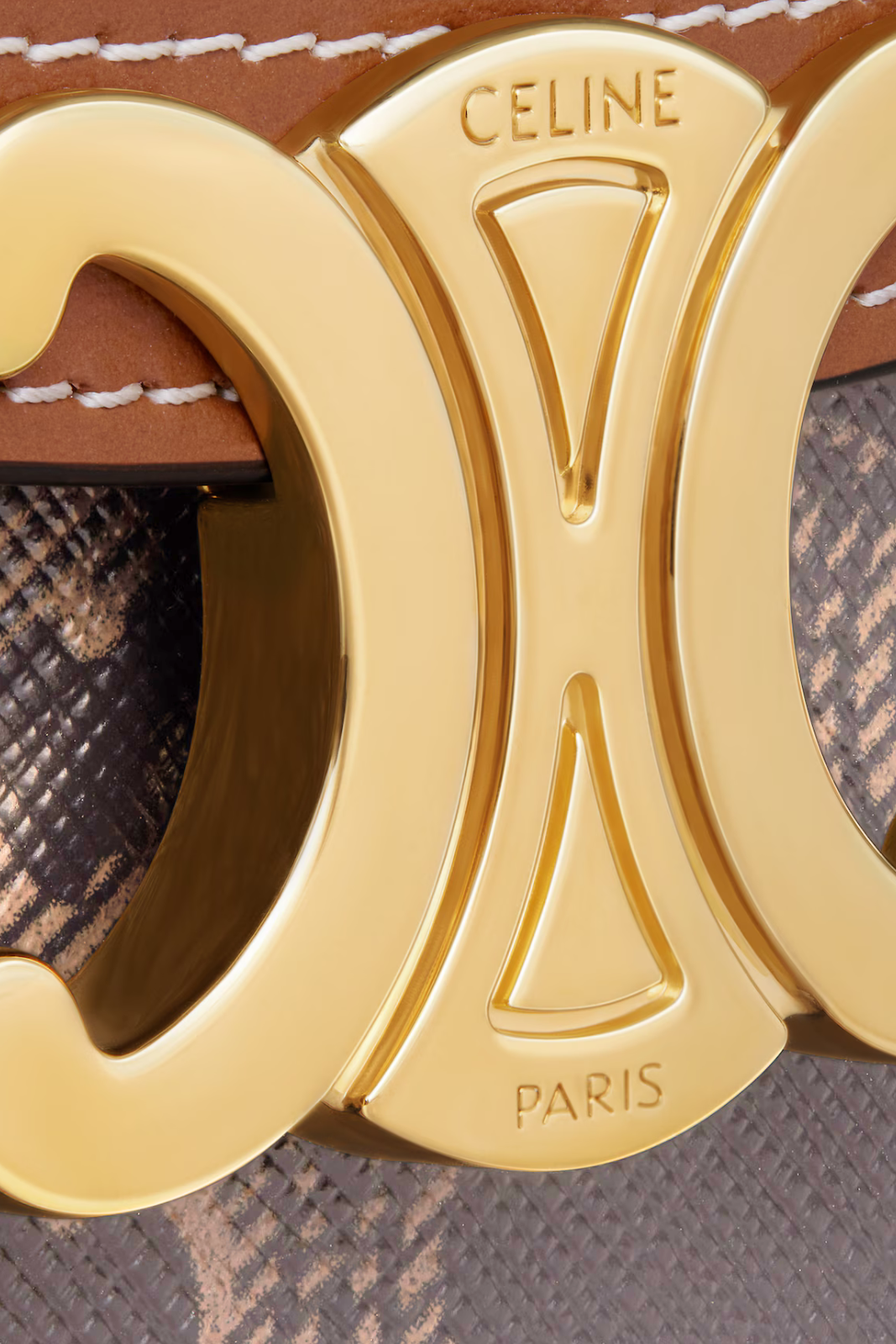 Celine Mini Besace Clea in Triomphe canvas and calfskin