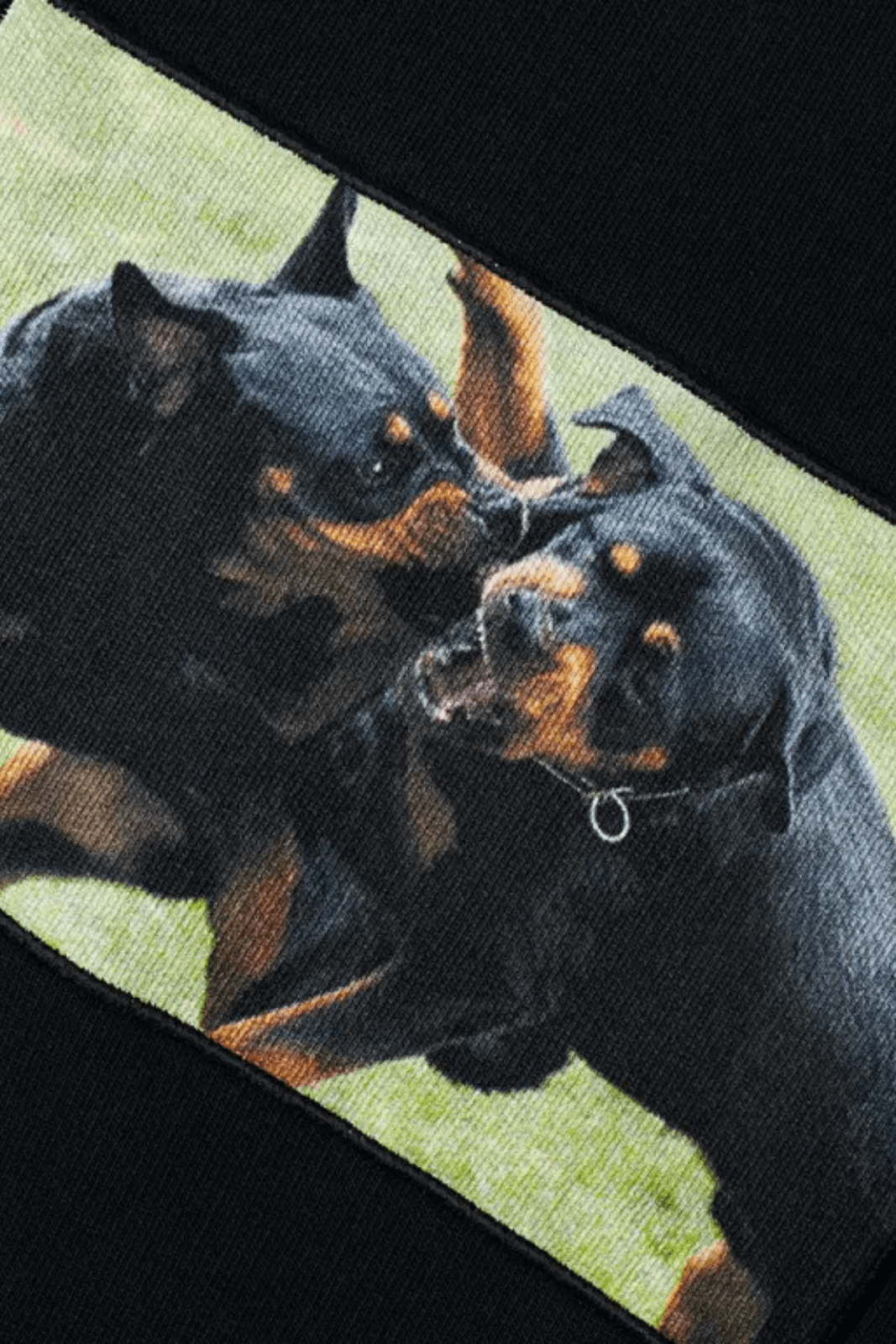 Givenchy Rottweiler Crew Black Sweatshirt for men